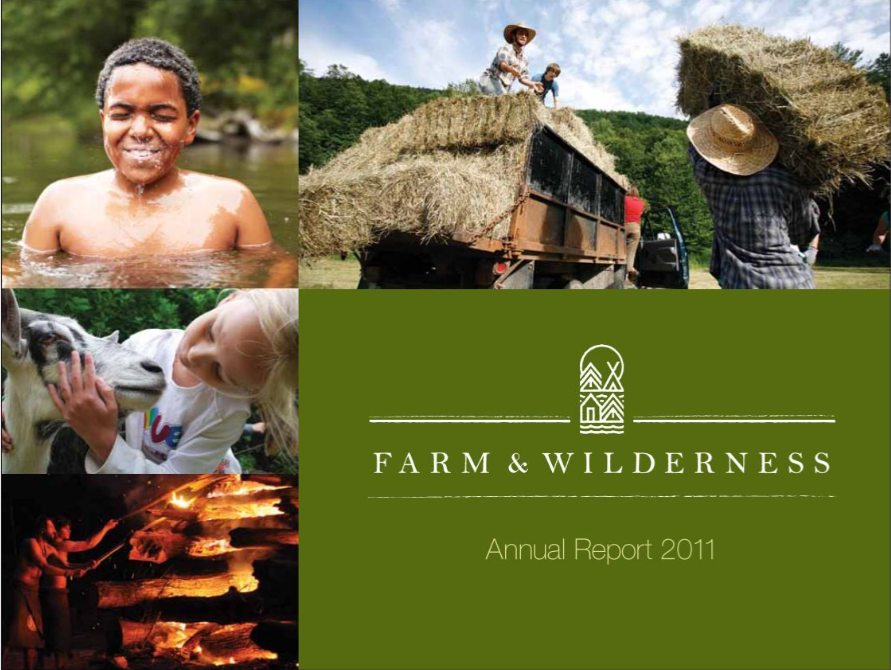 2011 Annual Report Cover
