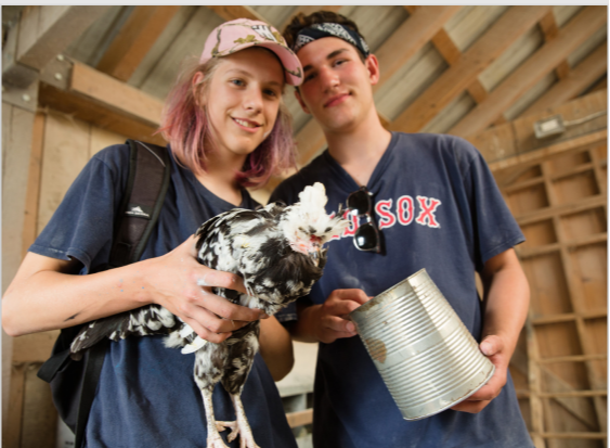 2017 Annual Report photo-1