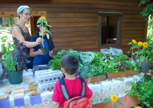 BDC Farm Stand