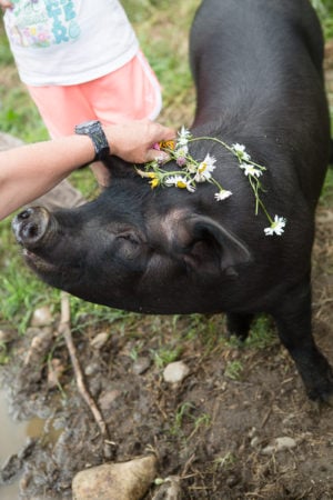 VTSummerCamp_BDC-013-2