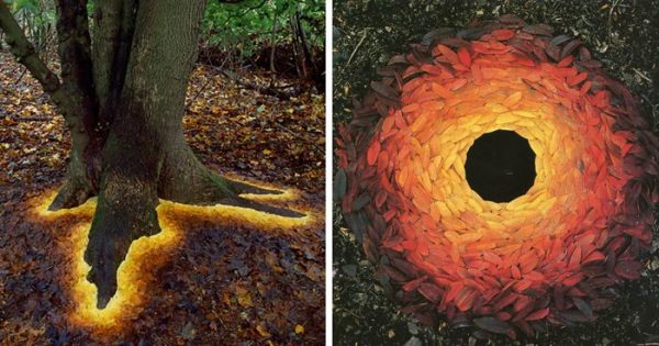 Making Art in Nature: Andy Goldsworthy Style - Farm & Wilderness