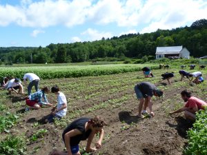 tamarack-farm-from-cody-309