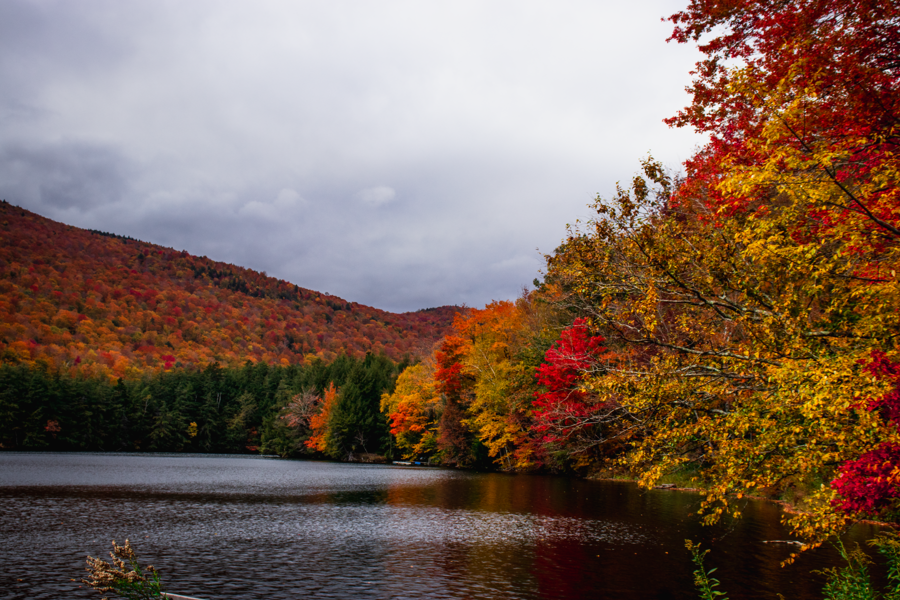 Fall_OpenHouse2023-10 4 MB-1