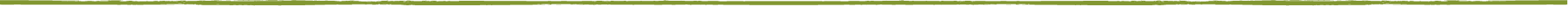 Single divider green line
